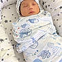 newborn, baby, sleeping, swaddle, hat, blanket, stars, pattern, cozy, nest, infant, peaceful, cute, soft, rest, child, wrapped, indoor, portrait, calm