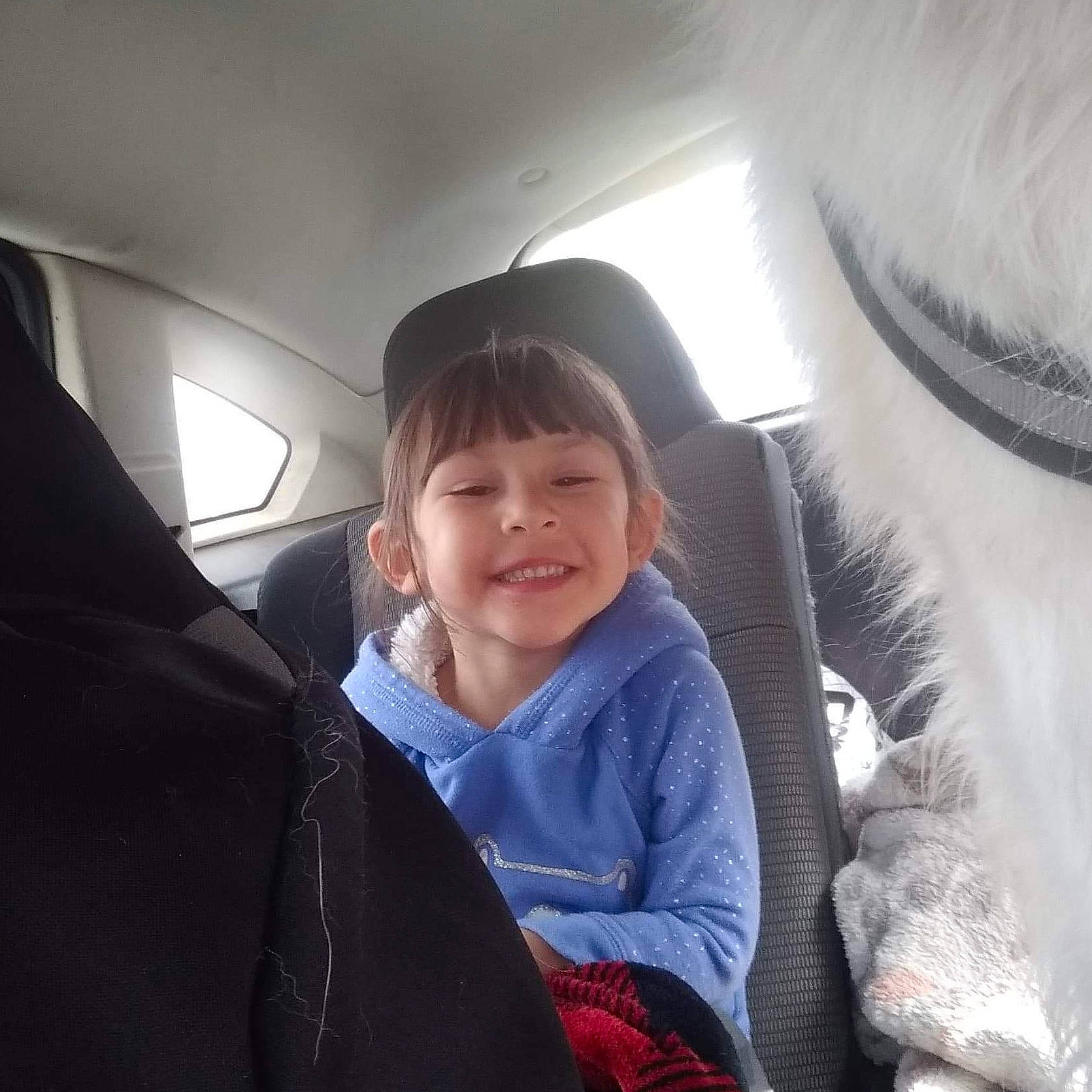 Lyra is registered to the contest to win money with this photo: car_seat, child, cool, electronic_device, face, fur, head, joy, nose, people, person, photography, selfie, skin, sky, smile, snow, technology, toddler, tourism