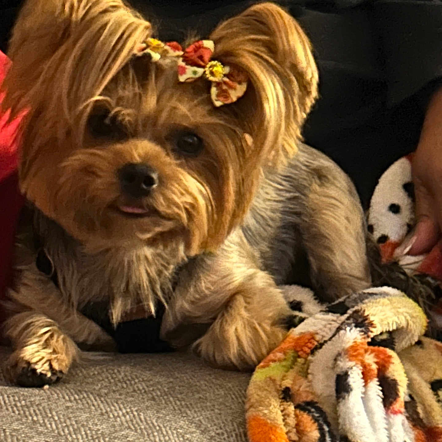 Coco