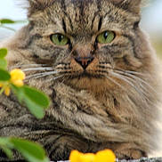 Mali a rejoint le concours — aidez-le/la à gagner de superbes lots !