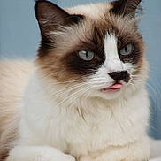 Sacha a rejoint le concours — aidez-le/la à gagner de superbes lots !