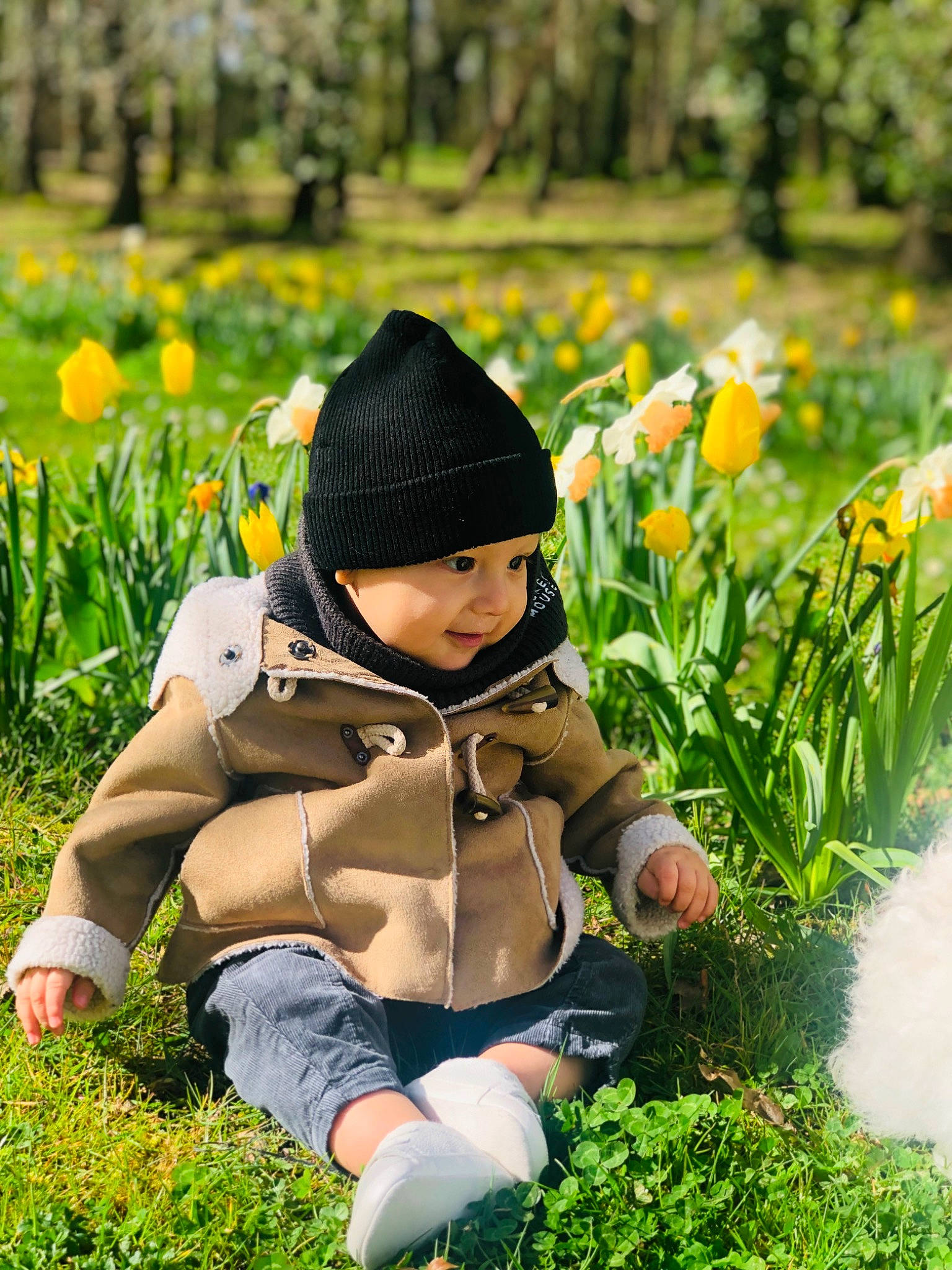 Emir a rejoint le concours — aidez-le/la à gagner de superbes lots ! baby, botany, flower, garden, grass, grass_family, grassland, happy, headwear, jacket, landscape, lawn, leisure, meadow, natural_landscape, people_in_nature, person, plant, prairie, toddler