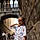 Marwa