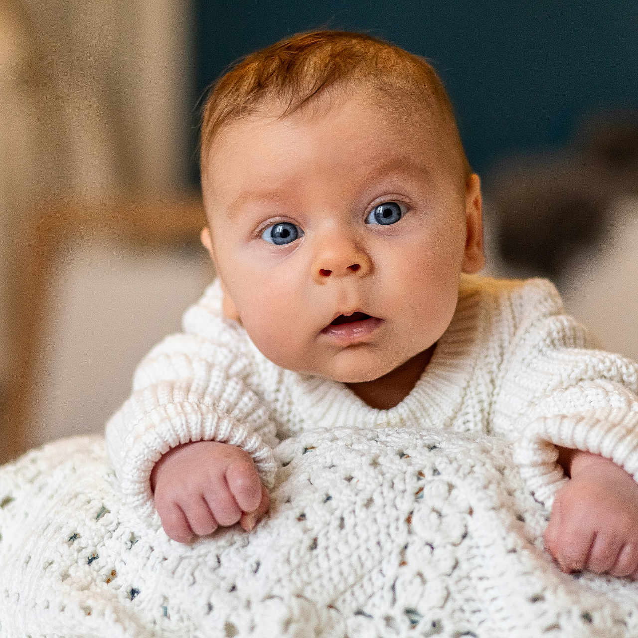 Alexis a rejoint le concours — aidez-le/la à gagner de superbes lots ! baby, blue_eyes, child, closeup, curious, cute, expression, face, hands, home, indoors, infant, knitted_blanket, person, portrait, skin, soft_light, sweater, warm, young