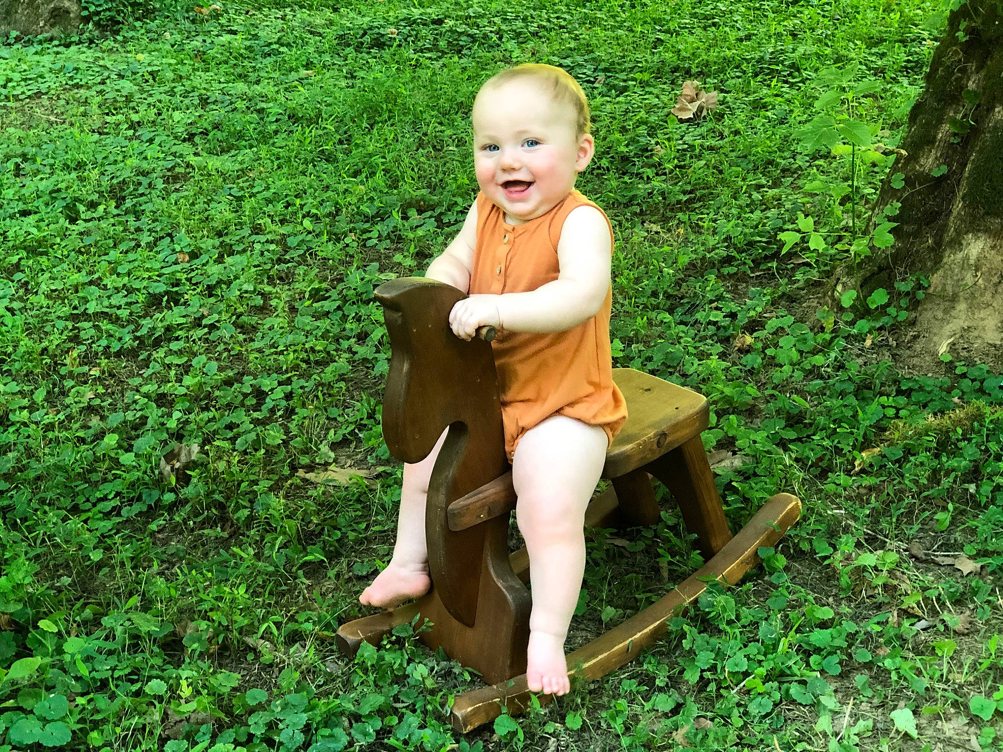Miles is registered to the contest to win money with this photo: fawn, furniture, grass, joy, person, plant, sitting