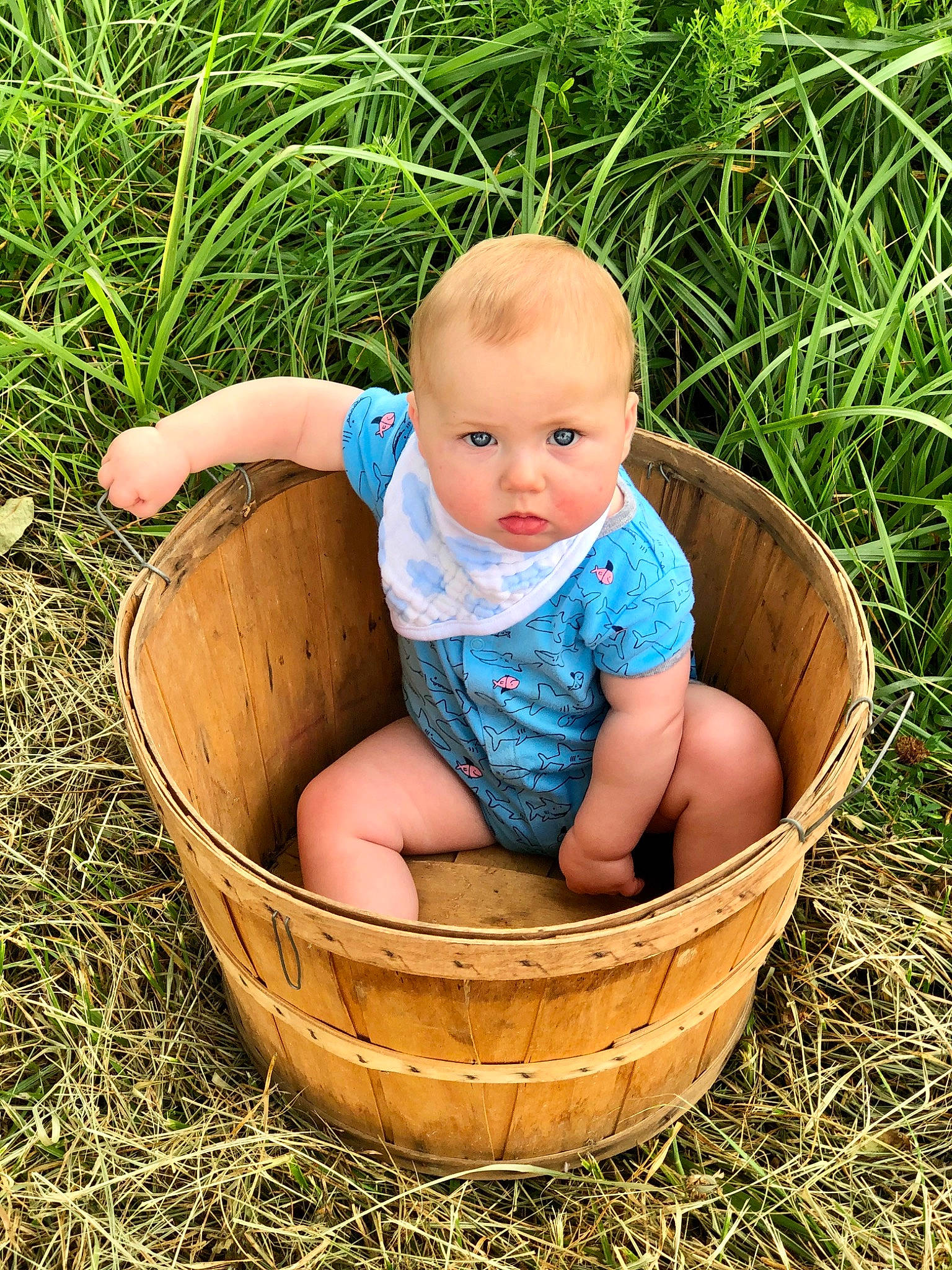 Miles joined the competition — help win amazing prizes! baby, basket, child, grass, grass_family, home_accessories, person, photograph, plant, product, skin, soil, toddler, wicker
