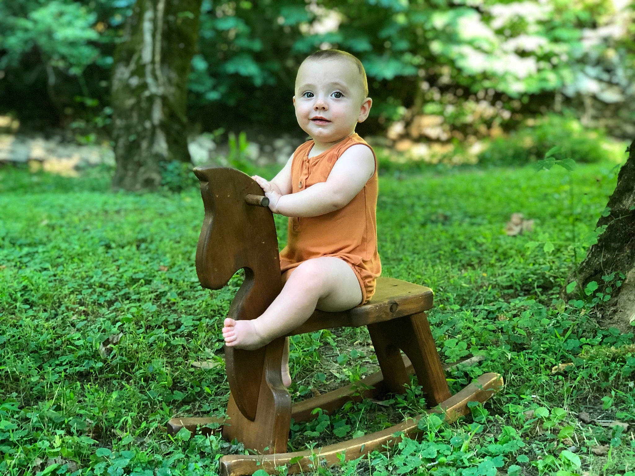 Rhodes joined the competition — help win amazing prizes! child, fawn, forest, furniture, grass, jungle, person, plant, sitting, tree, trunk, wood, woodland