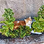 Weasley a rejoint le concours — aidez-le/la à gagner de superbes lots ! animal, cat, close_up, curious, feline, garden_bed, ginger_cat, green_leaves, leafy, nature, outdoor, peaceful, pet, plant, relaxing, resting, sunlight, texture, wall, white_cat