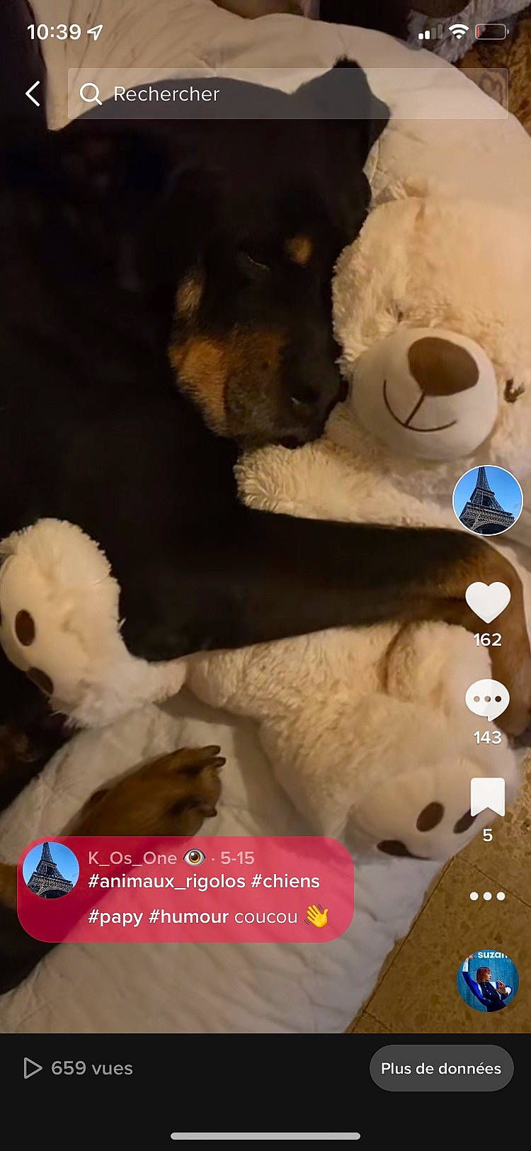 Capone participe au concours pour gagner de l'argent avec cette photo : baby_toys, bear, companion_dog, font, fur, mammal, pattern, plush, room, stuffed_toy, teddy_bear, terrestrial_animal, textile, toy, vertebrate