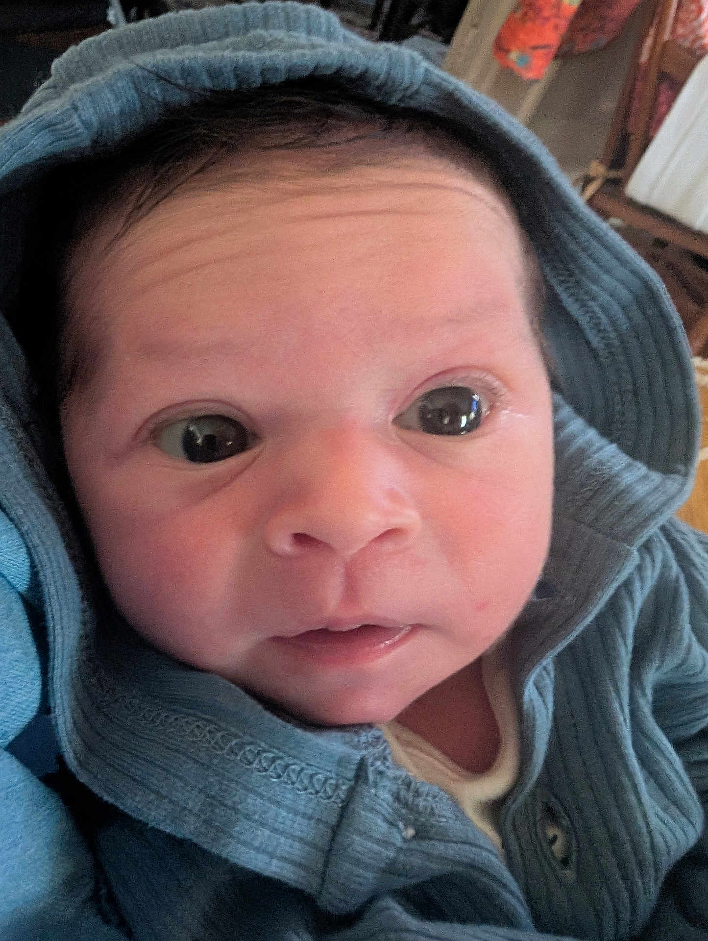 Kellen joined the competition — help win amazing prizes! baby, infant, face, hood, clothing, blue, eyes, skin, portrait, newborn, cute, expression, person, indoors, child, sweater, closeup, young, headwear, curious