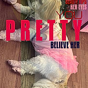 Precious Girl is registered to the contest to win money with this photo: dog, white_dog, pet, pink_dress, floor, wooden_floor, shoes, sneakers, lying_down, fur, clothing, indoor, animal, cute, small_dog, fashion, accessory, relaxing, close_up, domestic_animal