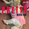 dog, white_dog, pet, pink_dress, floor, wooden_floor, shoes, sneakers, lying_down, fur, clothing, indoor, animal, cute, small_dog, fashion, accessory, relaxing, close_up, domestic_animal