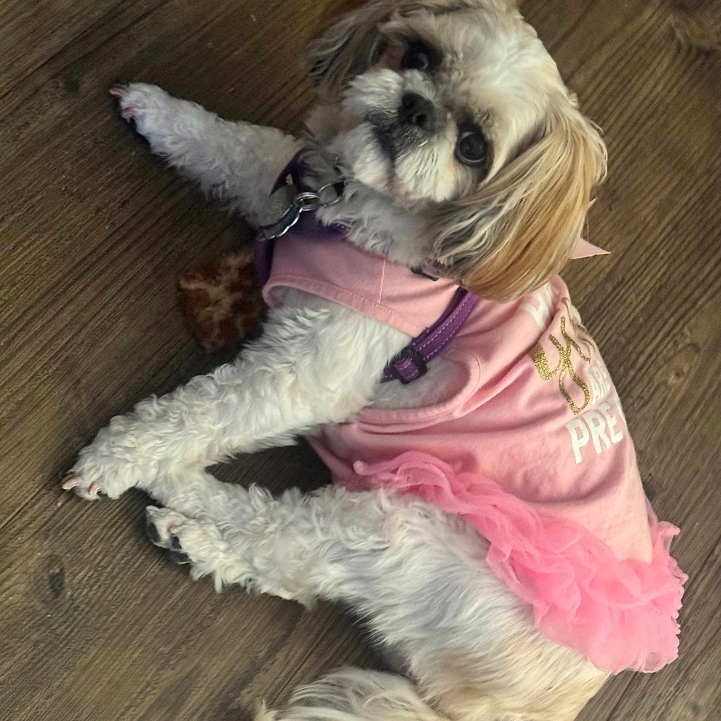 Precious Girl