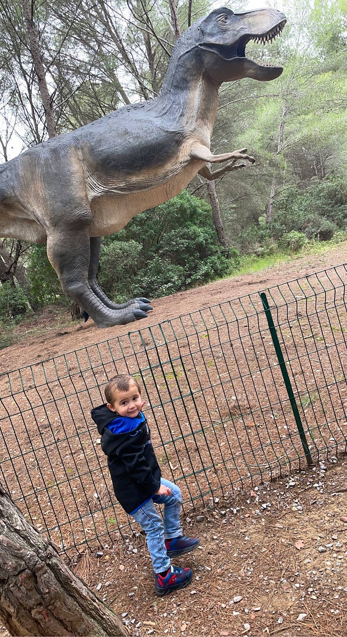 Djulian a rejoint le concours — aidez-le/la à gagner de superbes lots ! anteater, art, baby_toddler_clothing, dinosaur, extinction, fawn, fence, grass, joy, koala, person, photograph, plant, sculpture, snout, tail, terrestrial_animal, toddler, tree, trunk