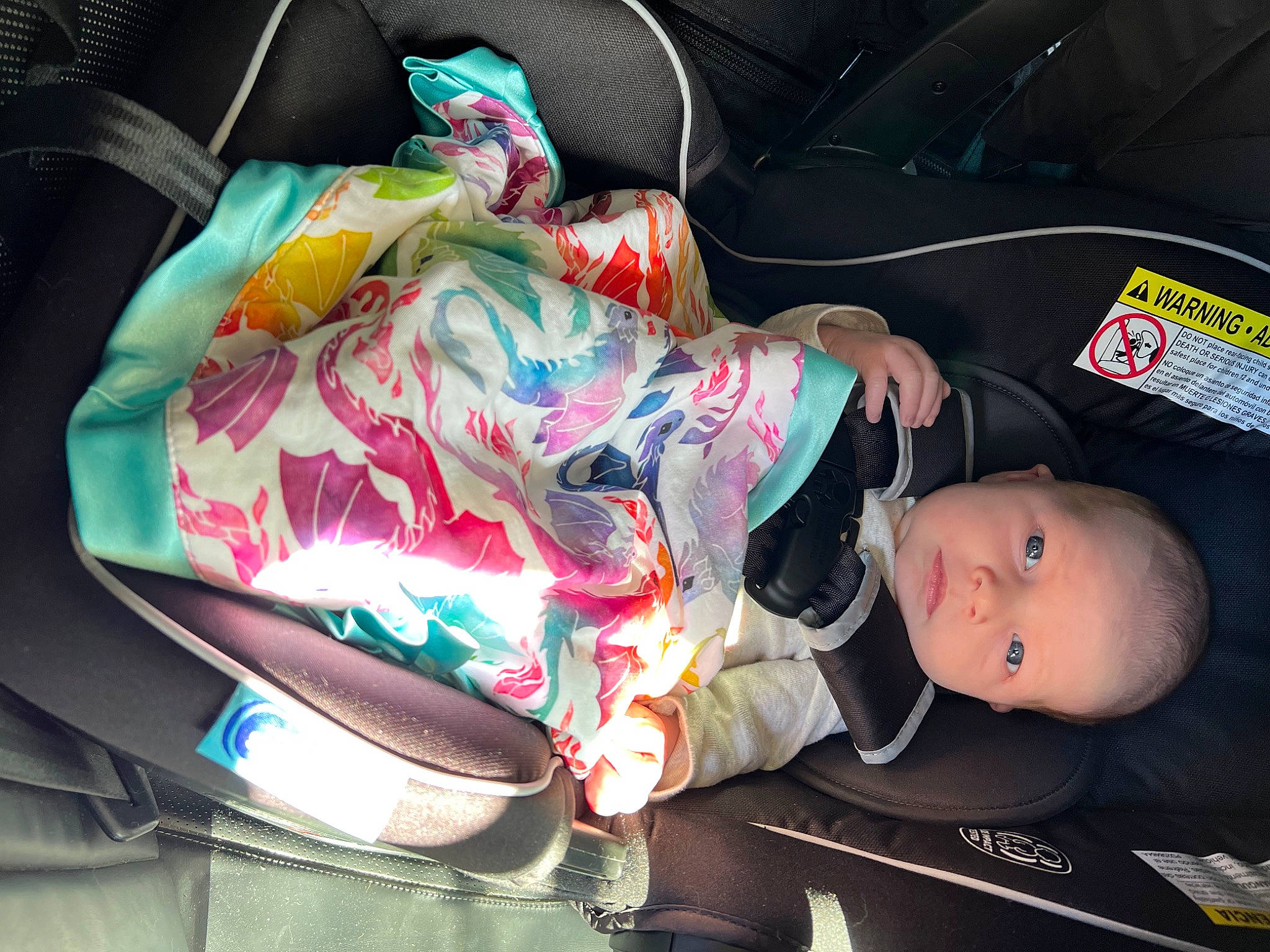 Freya joined the competition — help win amazing prizes! auto_part, baby, baby_carriage, baby_products, baby_toddler_clothing, bag, car_seat, carmine, child, comfort, linens, nap, person, sitting, sleep, toddler, tree