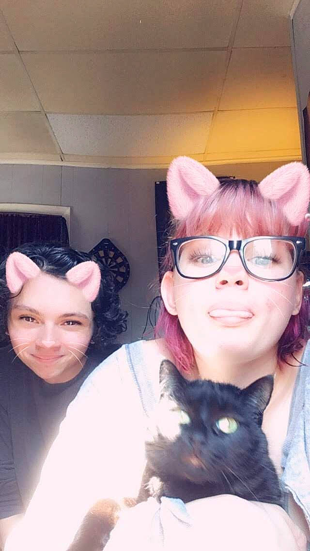 Sigma Bear joined the competition — help win amazing prizes! black_hair, cat, cool, ear, eye, eyewear, face, fawn, felidae, forehead, glasses, head, joy, nose, person, photography, selfie, small_to_medium_sized_cats, smile, vision_care