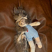 Moka a rejoint le concours — aidez-le/la à gagner de superbes lots ! kitten, cat, stuffed_toy, bear, plush, brown_leather, fur, cute, pet, animal, cuddling, toy, striped, soft, relaxed, indoor, sleepy, paw, feline, cozy