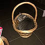 cat, gray_cat, basket, wicker_basket, indoor, floor, tile_floor, pet, animal, cozy, resting, looking_back, cute, feline, household, stairs, wood, quiet, domestic, curled_up