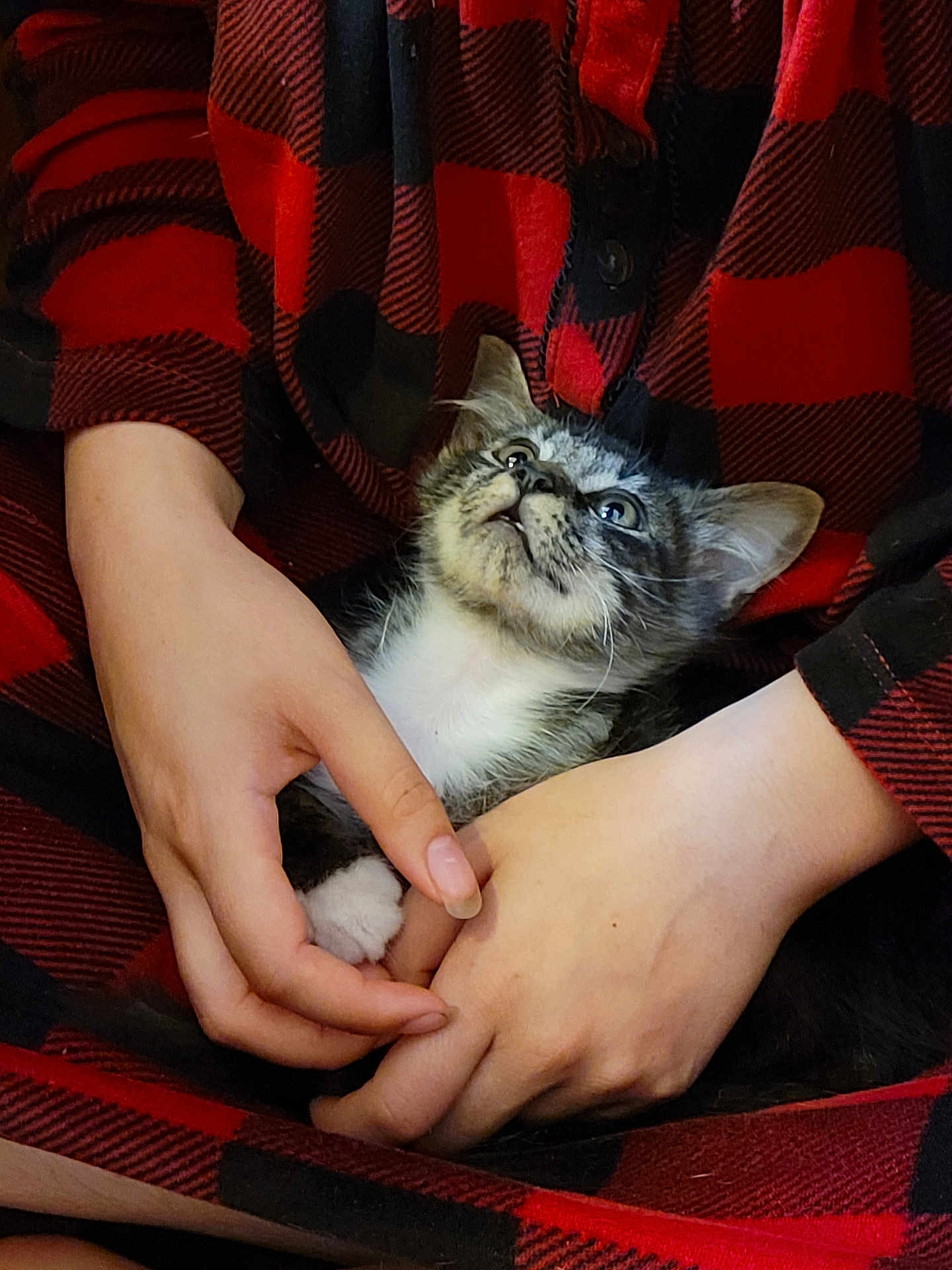 Lou