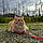 Bartholomeow