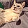 Theo