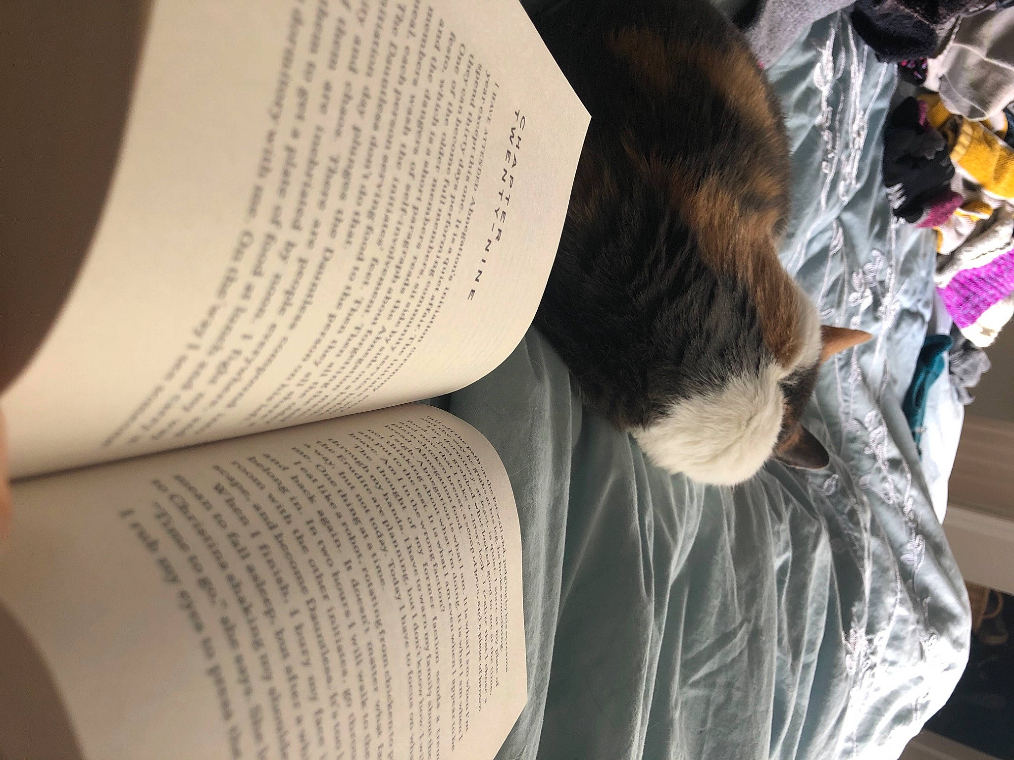Peach is registered to the contest to win money with this photo: automotive_design, book, comfort, eyewear, font, fur, hand, human_leg, linens, nap, paper, publication, reading, sitting, sleeve, t_shirt, textile, thigh, tree, wool