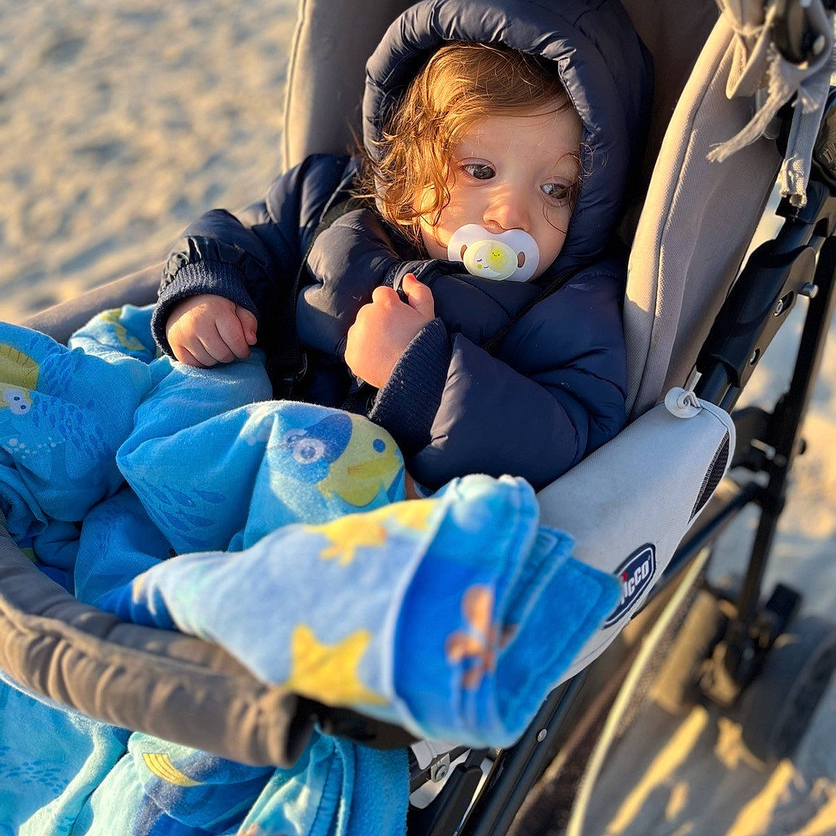 Wyatt participe au concours pour gagner de l'argent avec cette photo : baby, baby_carriage, baby_products, child, comfort, electric_blue, fun, happy, head, lap, leisure, people_in_nature, person, photograph, plant, recreation, sitting, toddler, travel, tree