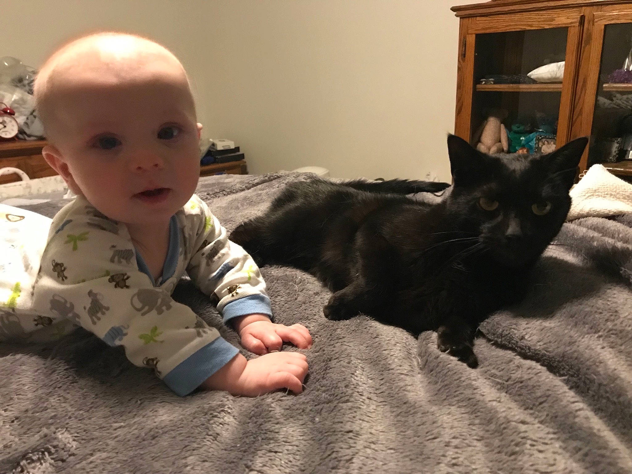 Heath is registered to the contest to win money with this photo: carnivoran, cat, cat_like_mammal, child, headwear, kitten, mammal, person, play, skin, small_to_medium_sized_cats, toddler, whiskers