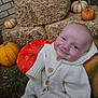 baby, infant, pumpkin, hay_bale, autumn, fall, cozy, knitwear, smile, cute, outdoor, seasonal, orange, white, child, person, grass, nature, harvest, festive