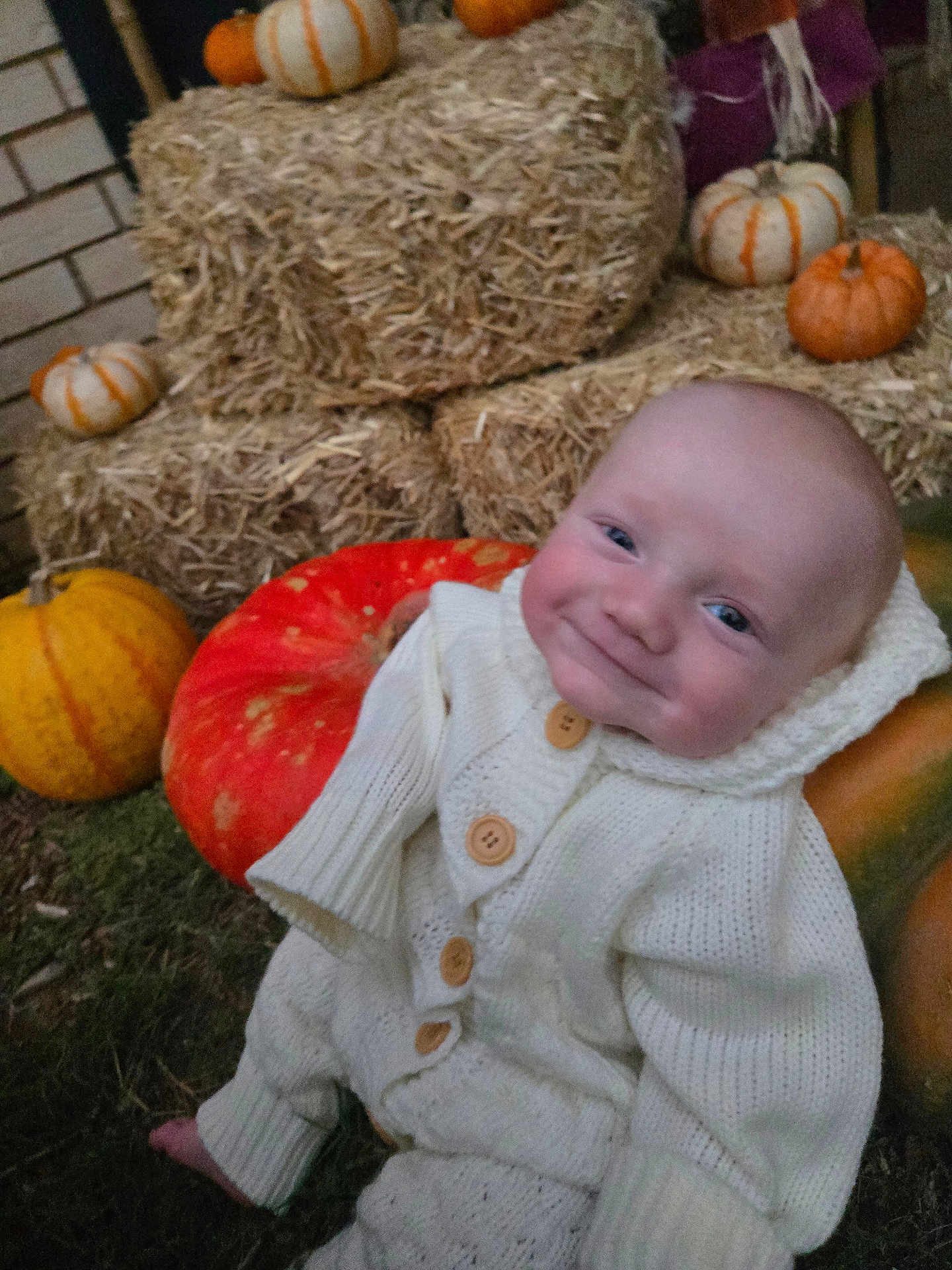 David is registered to the contest to win money with this photo: baby, infant, pumpkin, hay_bale, autumn, fall, cozy, knitwear, smile, cute, outdoor, seasonal, orange, white, child, person, grass, nature, harvest, festive