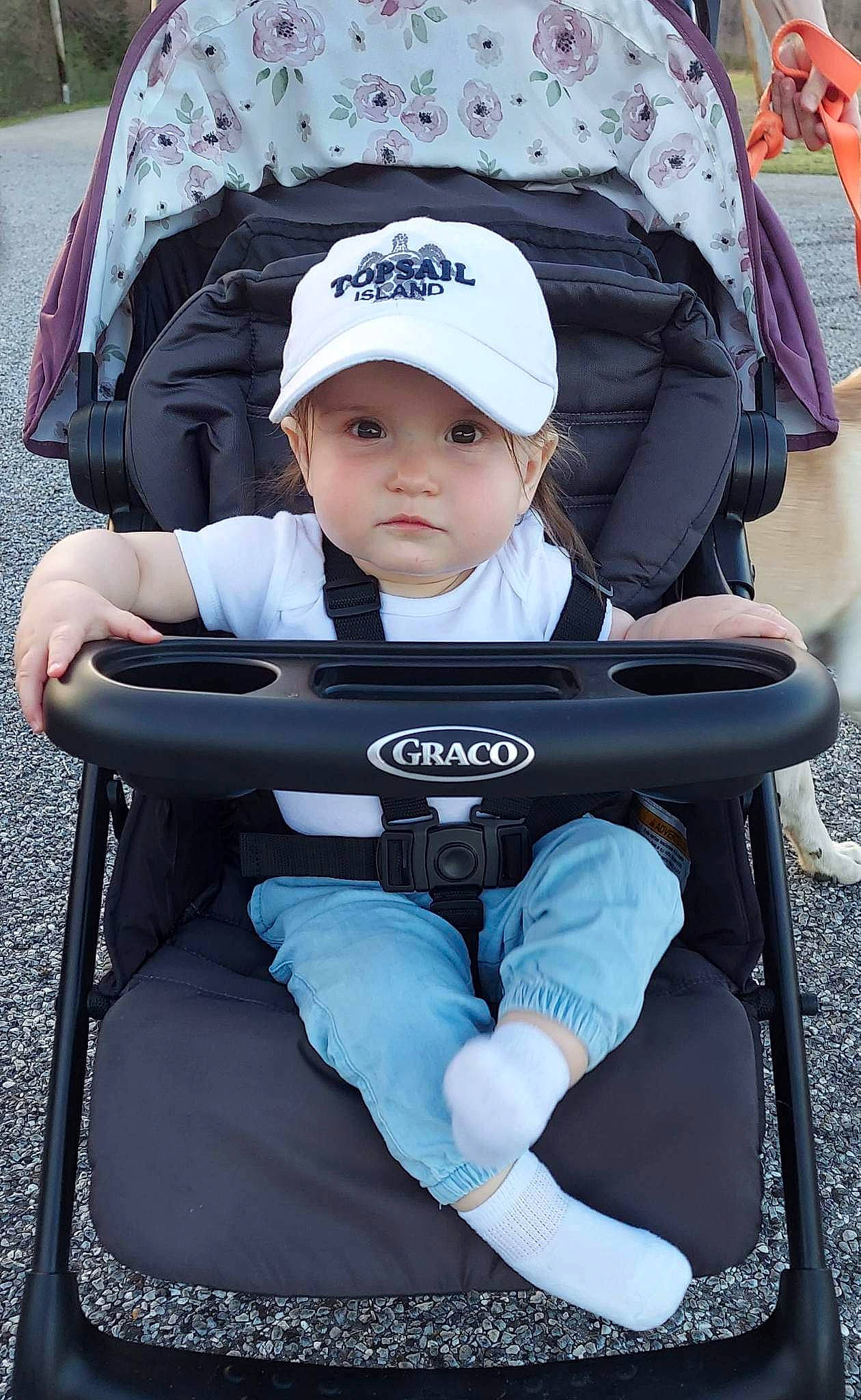 Kallie joined the competition — help win amazing prizes! auto_part, baby, baby_carriage, baby_products, baby_safety, baby_toddler_clothing, cap, child, comfort, electric_blue, fun, hat, headwear, leisure, person, plant, product, sitting, toddler, travel