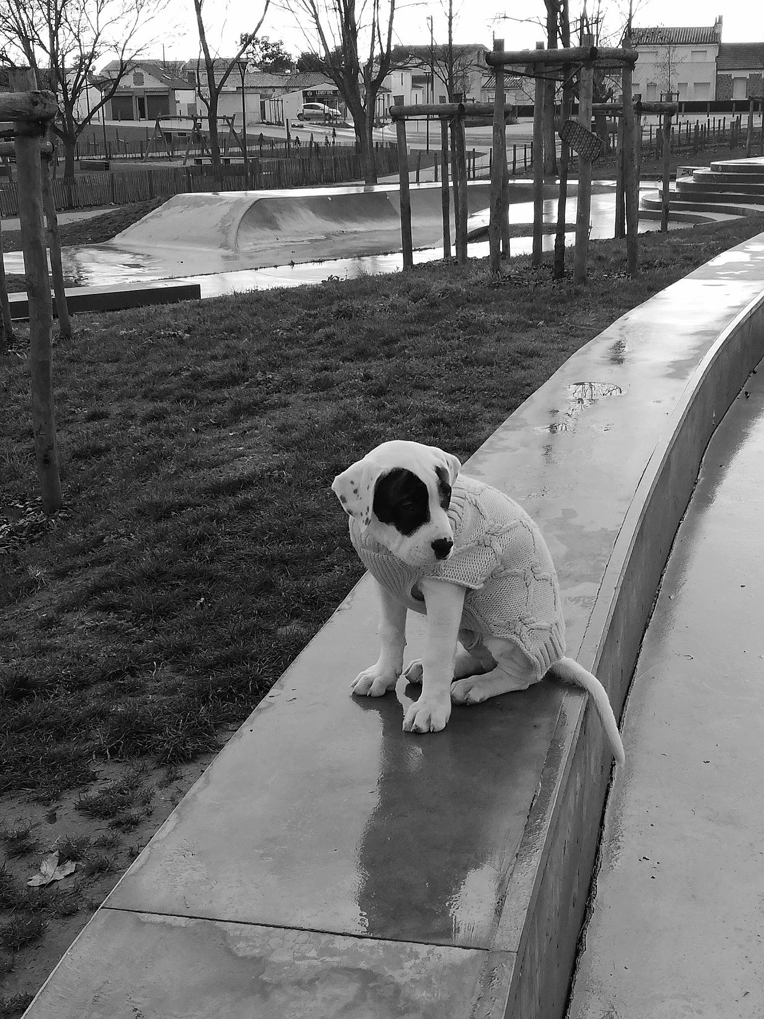 Bandito participe au concours pour gagner de l'argent avec cette photo : black_and_white, concrete, monochrome, monochrome_photography