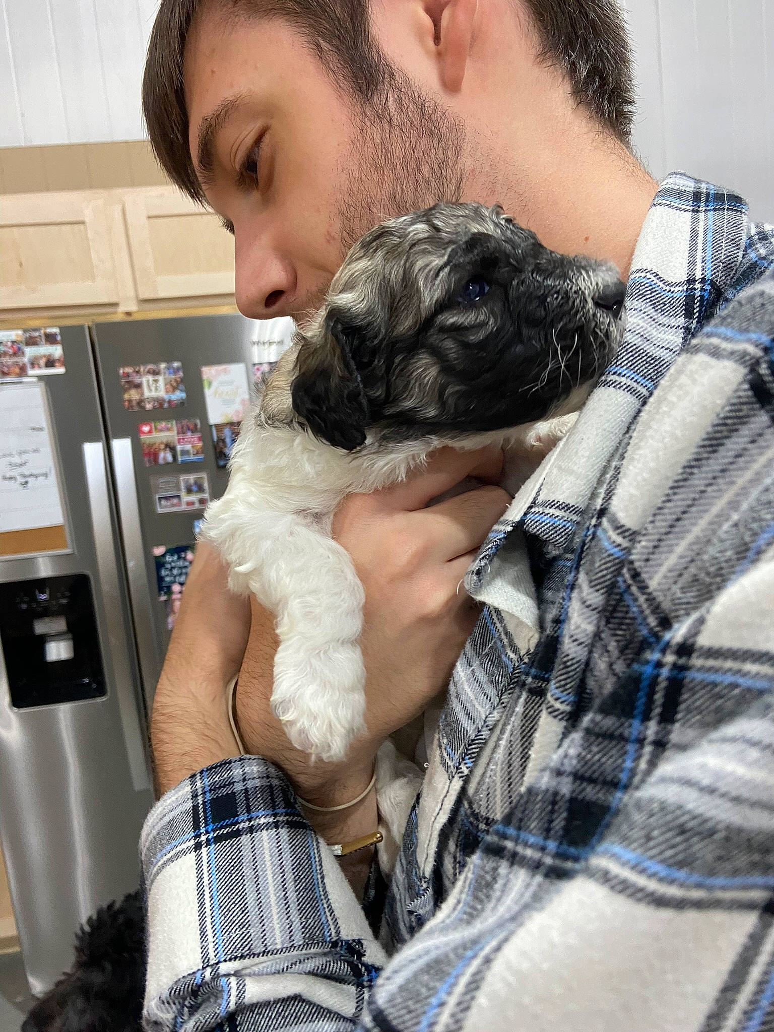 Gizmo is registered to the contest to win money with this photo: beard, carnivore, comfort, companion_dog, dog_breed, ear, eyewear, facial_hair, fur, gesture, hairstyle, moustache, neck, pattern, plaid, selfie, shoulder, snout, sporting_group, tartan