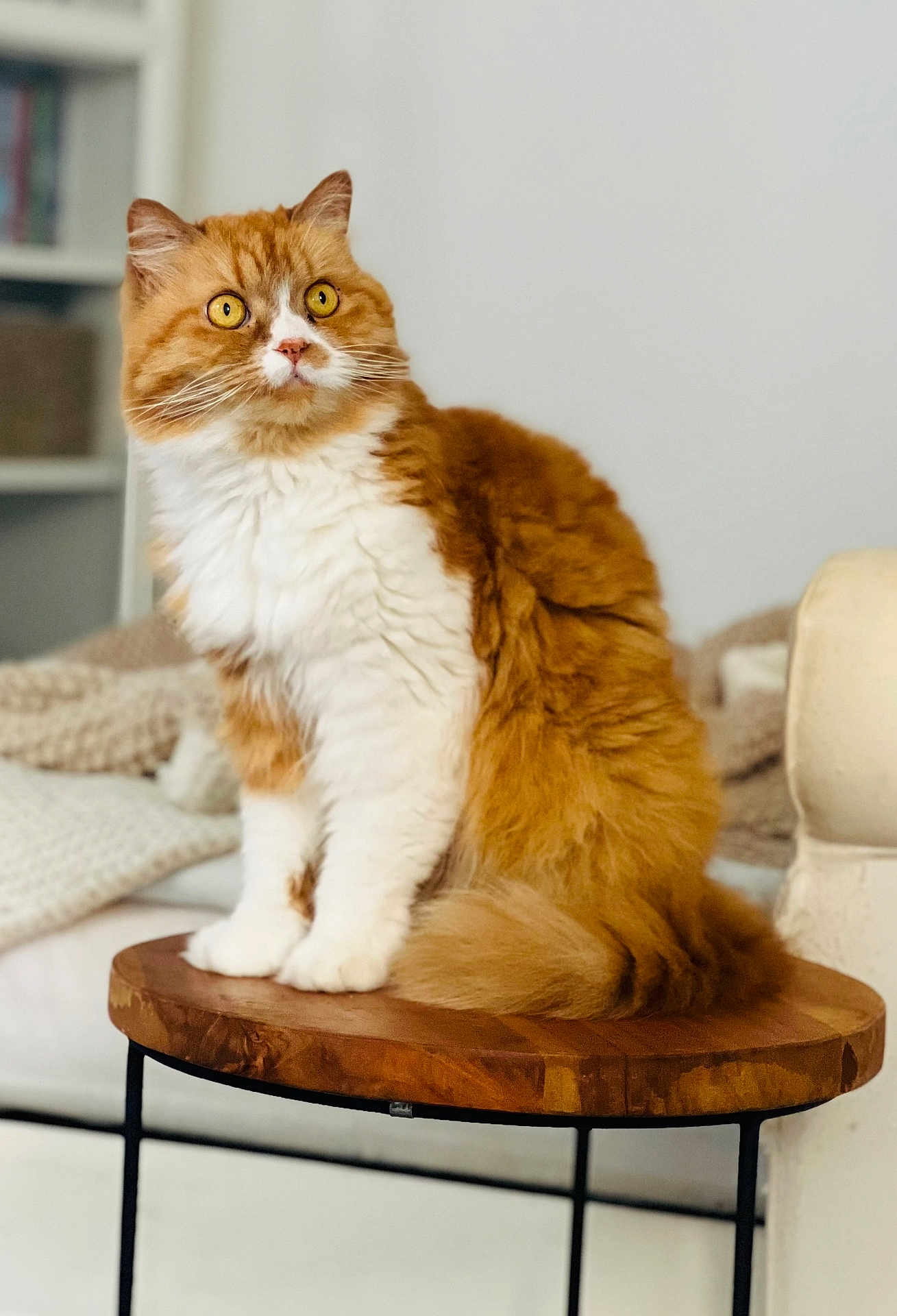 Mimie