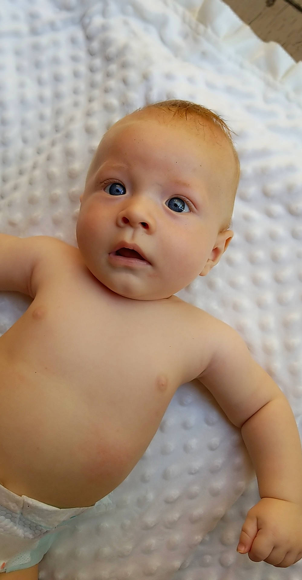 Kieran Wolf is registered to the contest to win money with this photo: baby, cheek, child, chin, face, head, lip, muscle, person, skin, toddler