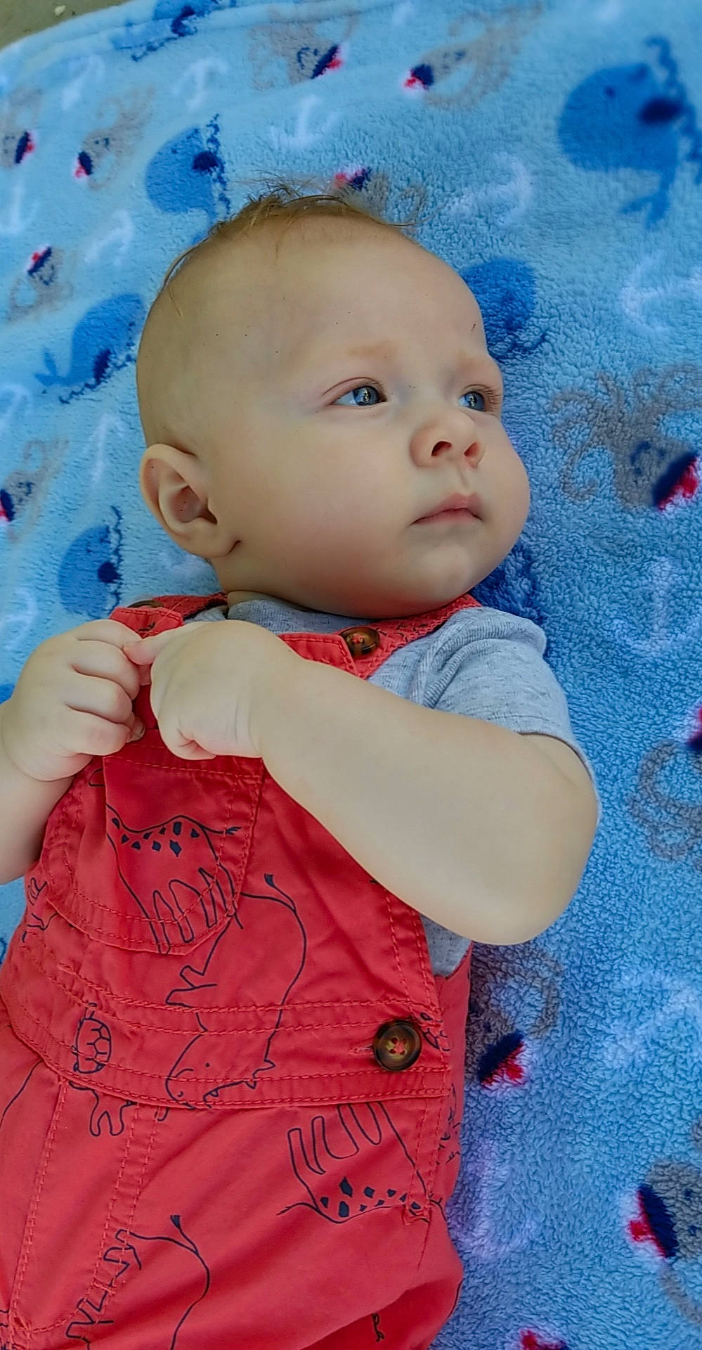 Kieran Wolf is registered to the contest to win money with this photo: baby, blue, cheek, child, eye, face, head, nose, person, skin, textile, toddler