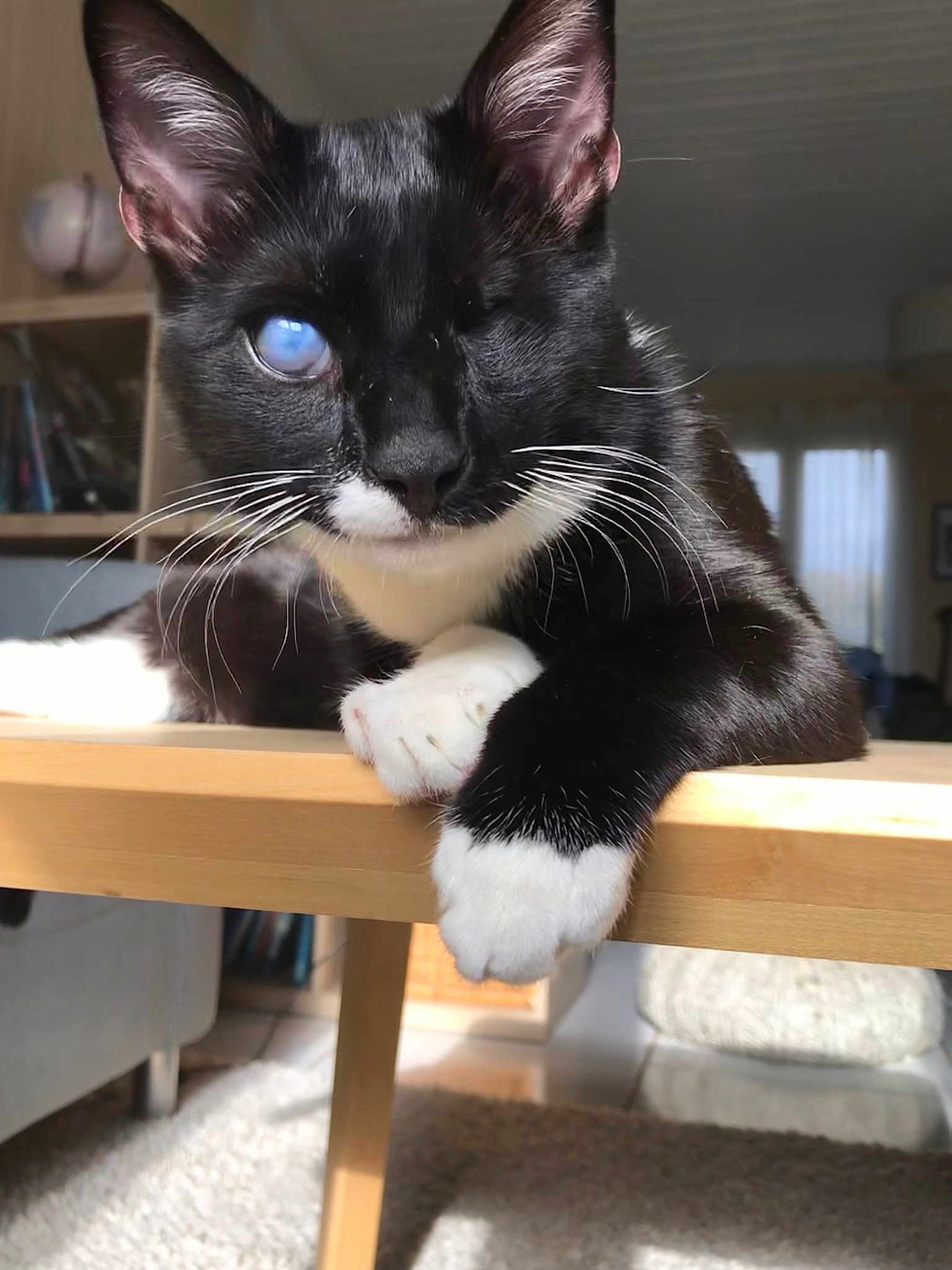 Odin