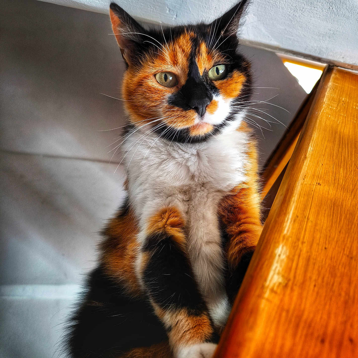Lilou