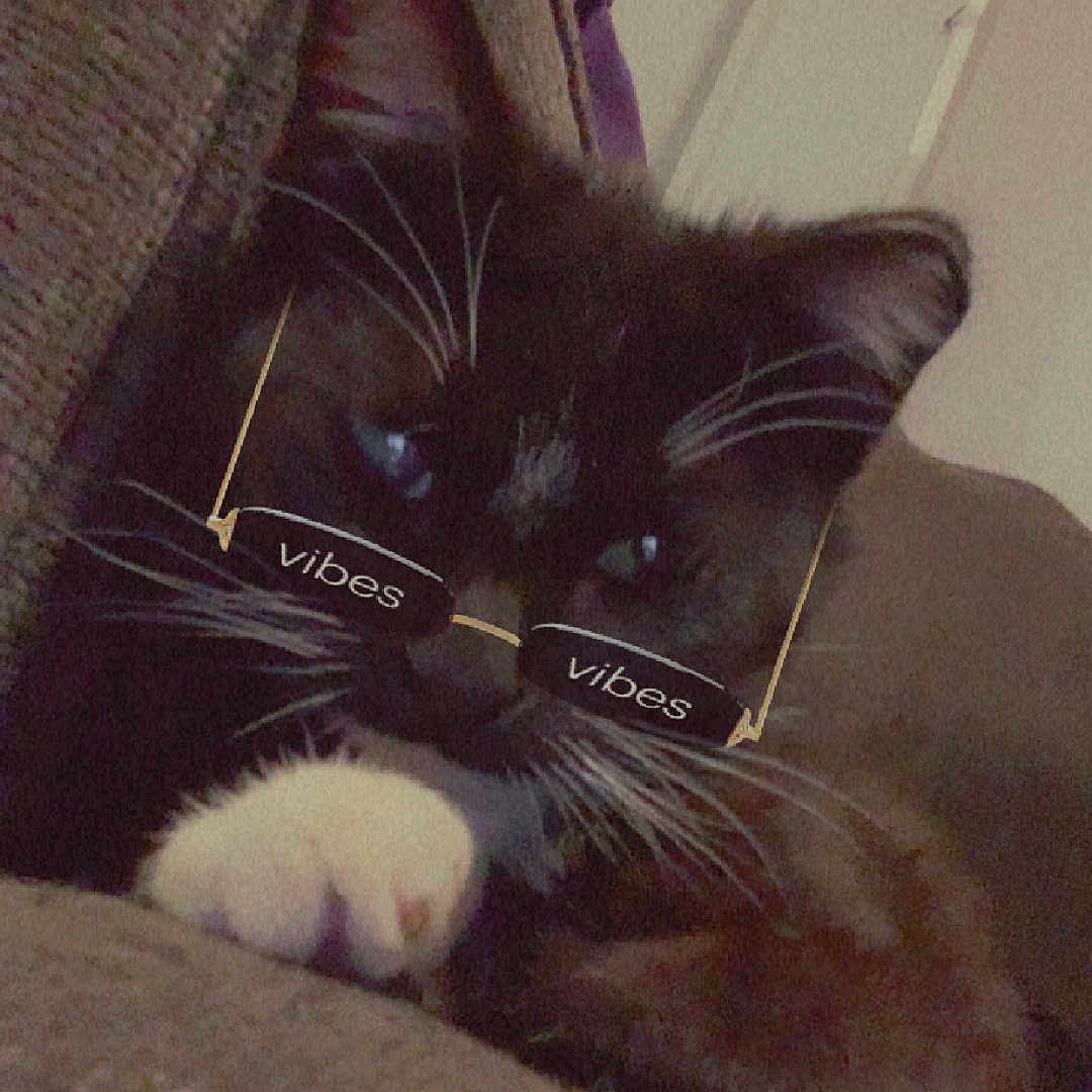 Jinxie