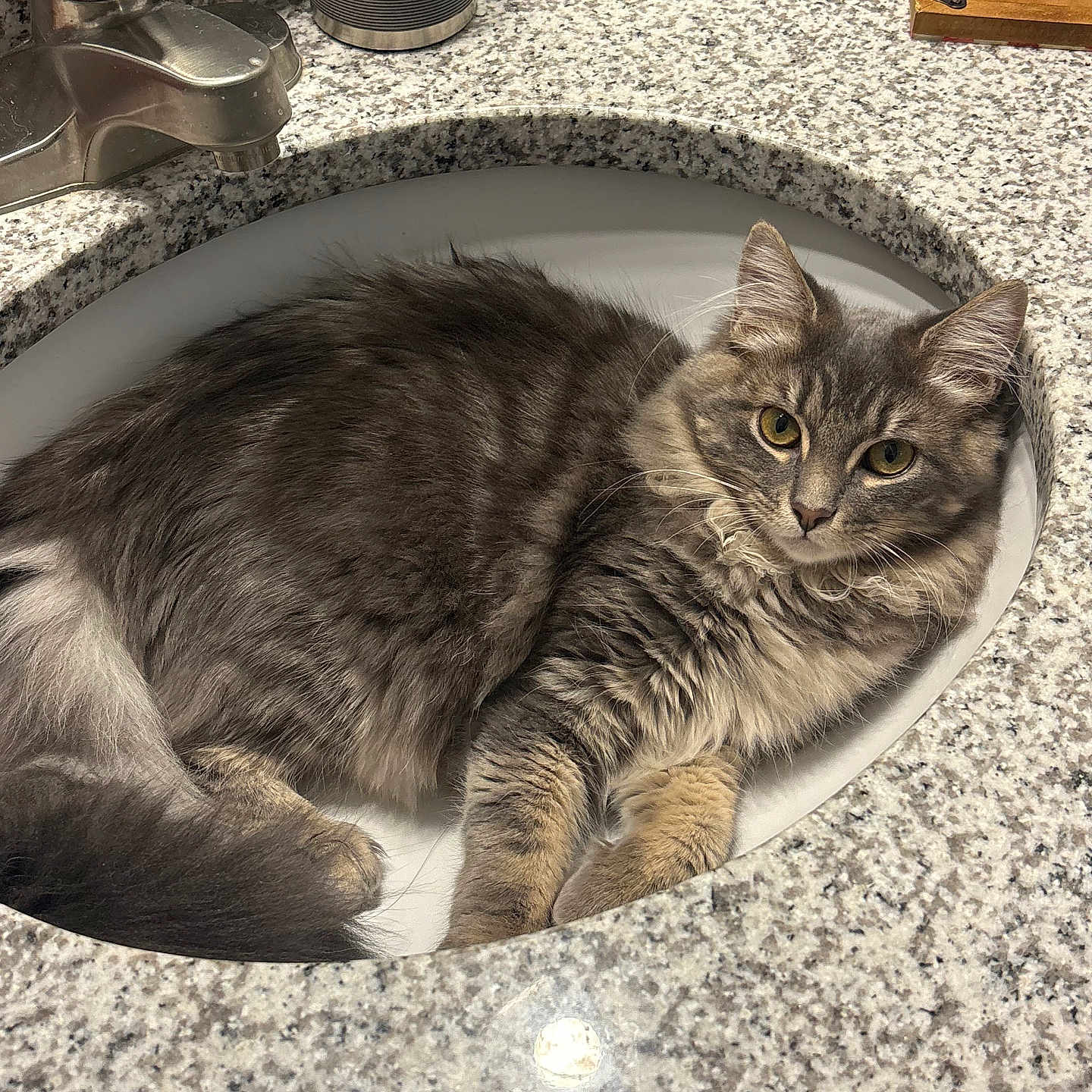 Ripley