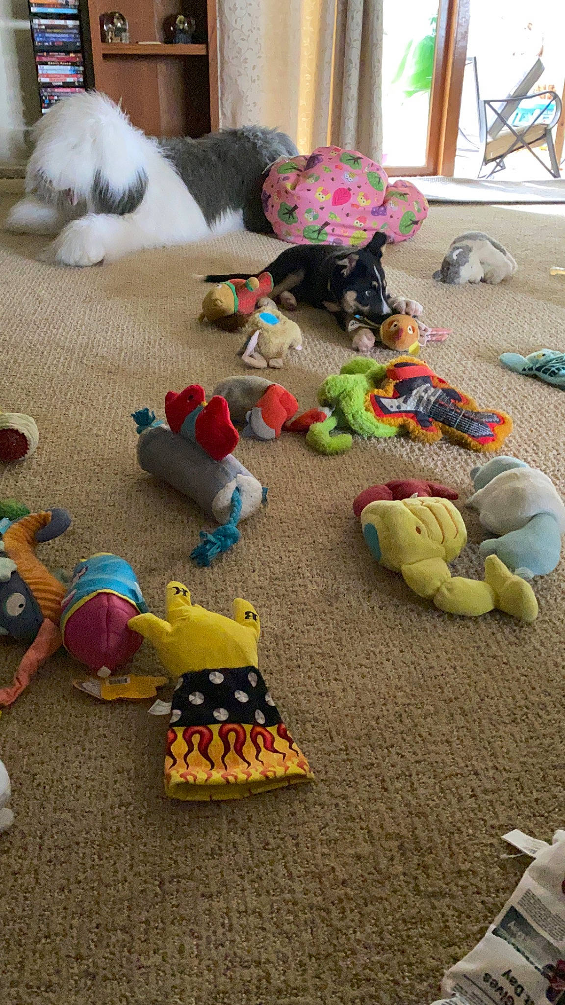 Loki joined the competition — help win amazing prizes! floor, flooring, play, plush, stuffed_toy, toy