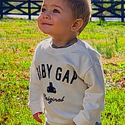 baby_gap, boy, casual_clothing, child, curious, cute, daylight, fence, grass, happy, nature, outdoor, pants, portrait, smiling, standing, sunlight, sweatshirt, toddler, young_child