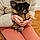 Alvin