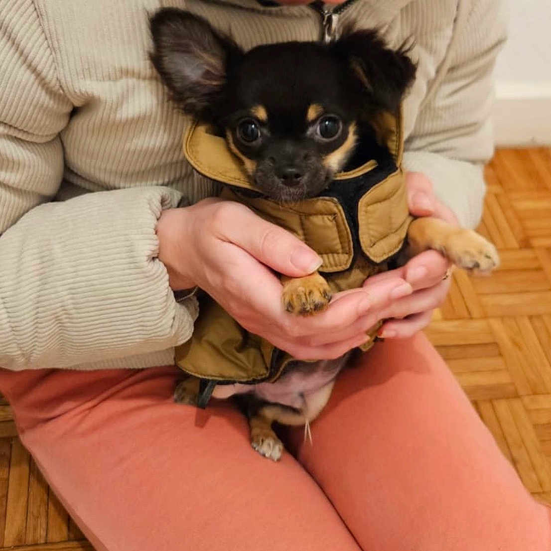 Alvin