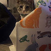 King Lewie is registered to the contest to win money with this photo: cat, animal_print, bag, curious, indoor, floor, colorful, pet, feline, wooden_floor, decor, domestic, cute, playful, peeking, collar, whiskers, ears, eyes, background