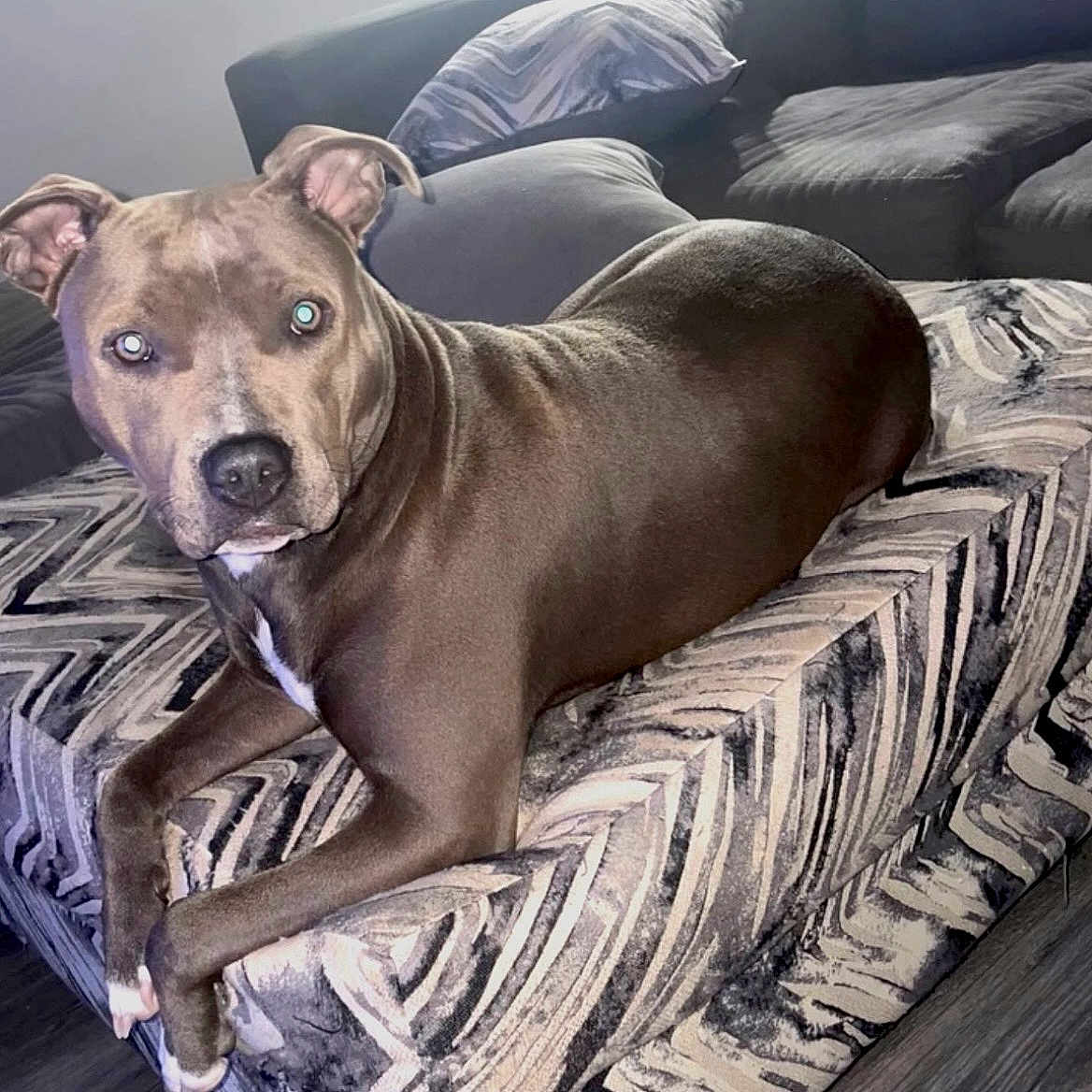 Nala