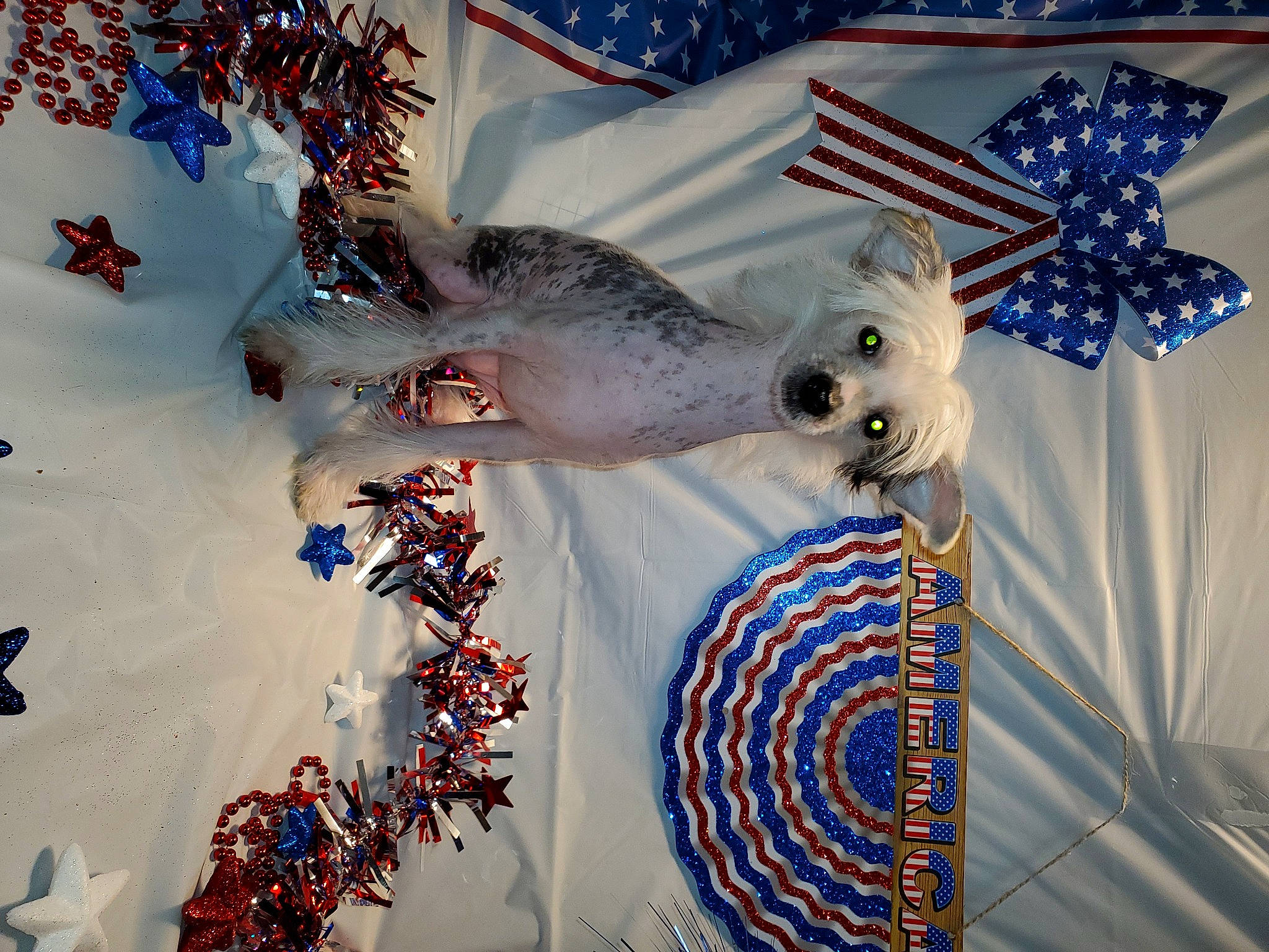 Patsy Cline is registered to the contest to win money with this photo: blue, christmas, christmas_decoration, christmas_ornament, flag, interior_design, textile