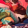 Chiquis joined the competition — help win amazing prizes! cat, calico_cat, blanket, colorful, cozy, feline, fur, hand, indoor, person, plaid, pattern, resting, soft, texture, warm_lighting, wrapped, comfort, relaxation, sleepy