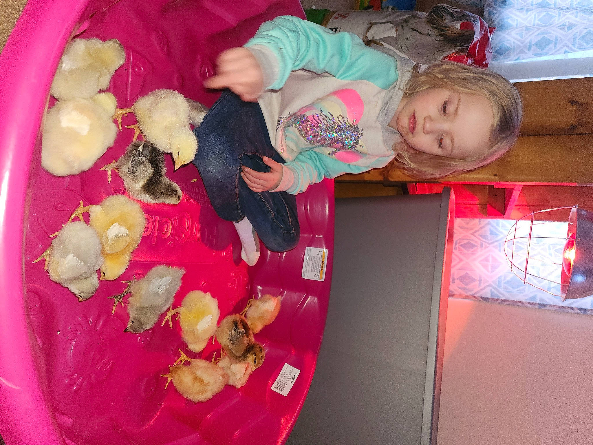 Ava joined the competition — help win amazing prizes! baby, baby_products, baby_toddler_clothing, baby_toys, bathing, child, comfort_food, event, fun, magenta, person, pink, play, room, stuffed_toy, teddy_bear, toddler, toy