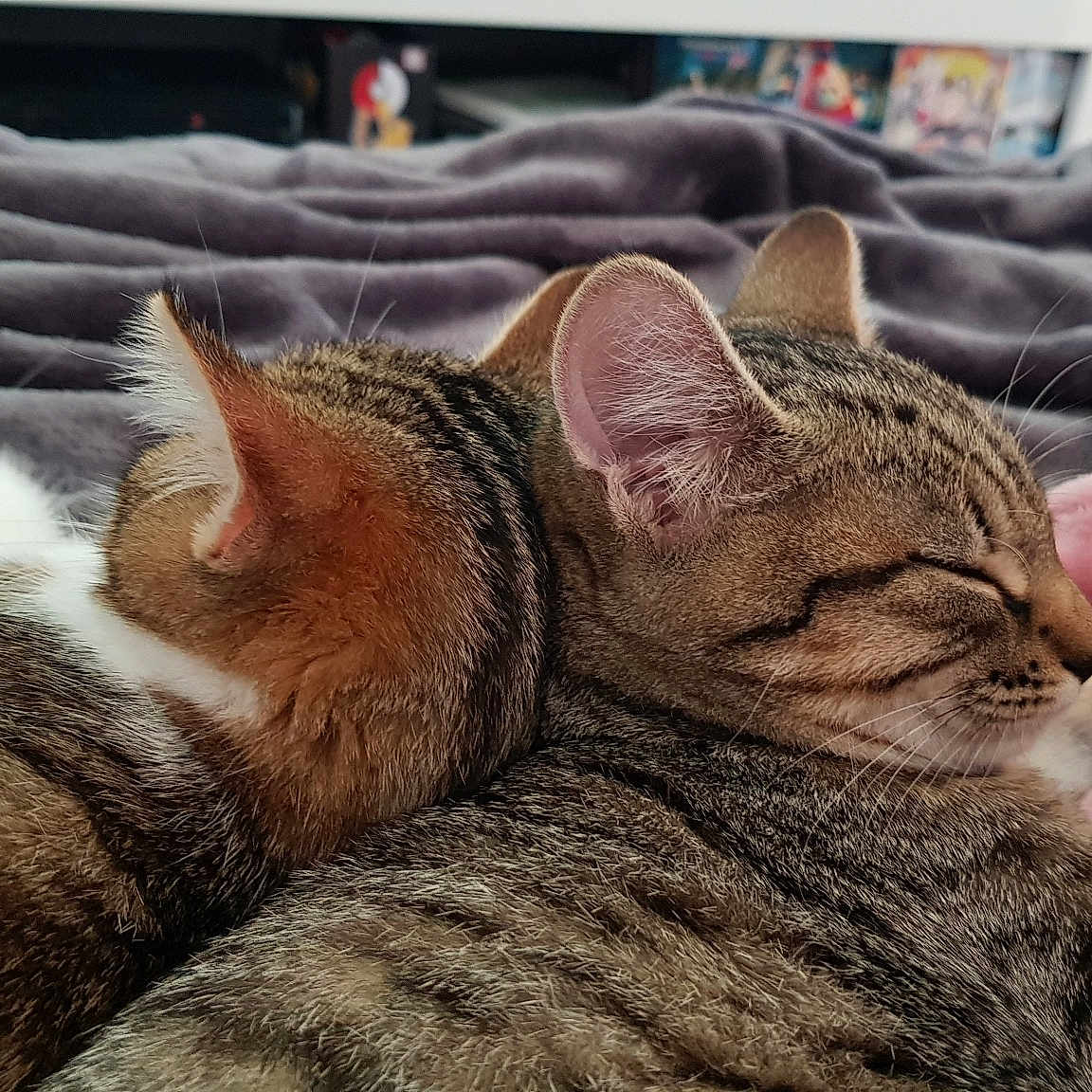 Amaya Et Miyuki